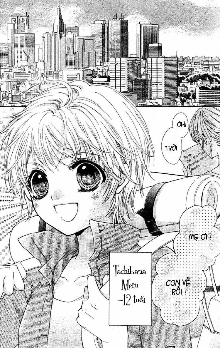 fly high! chapter 1 1