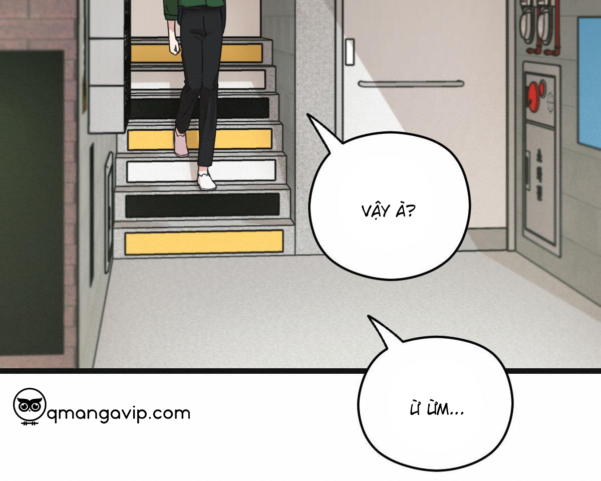 tương phùng chapter 36 146