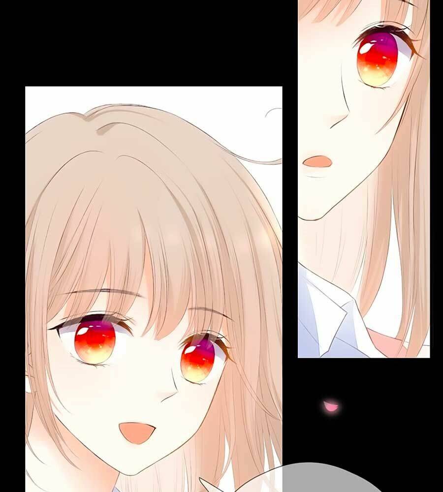 đóa hoa chớm nở chapter 67 48