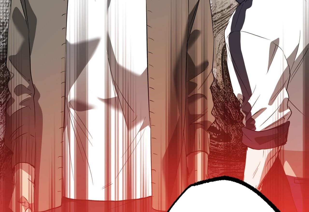 những chú thỏ của hapypy chapter 62 248