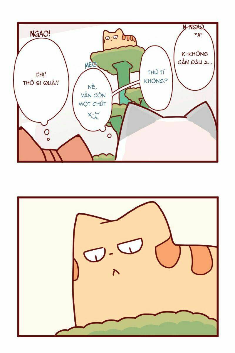 saphie: chú mèo một mắt chapter 18 7