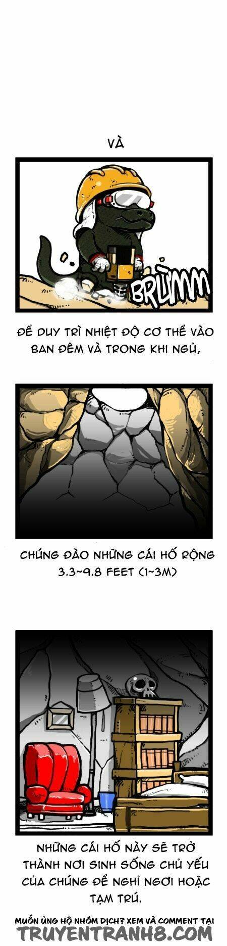 earth, human, and animal chapter 26 15