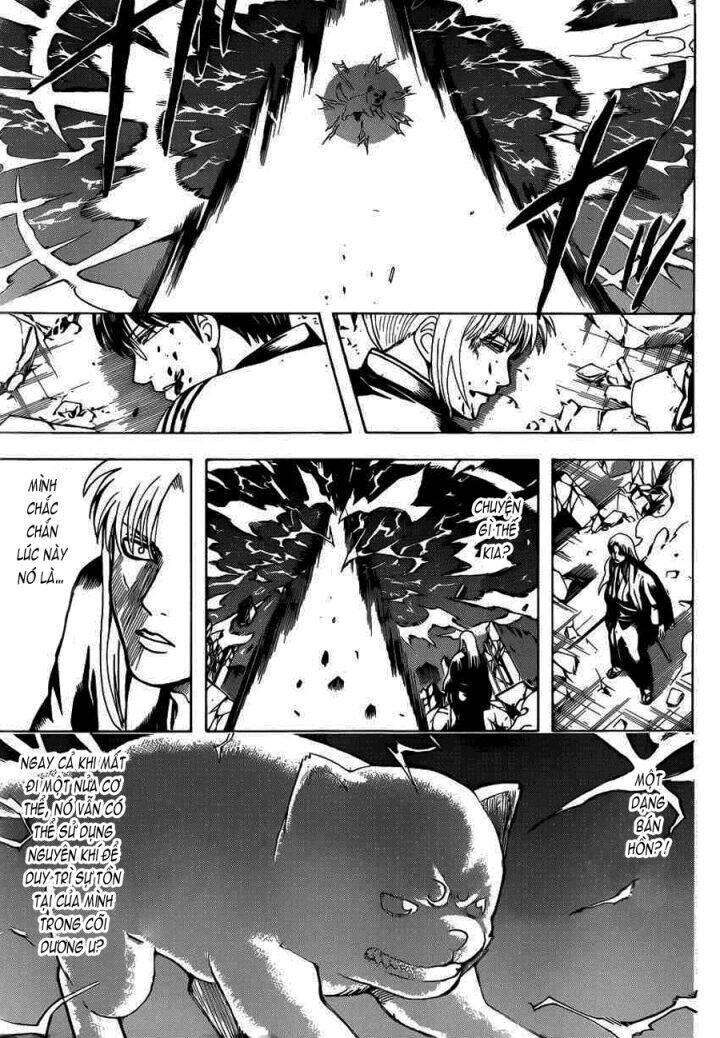 gintama - linh hồn bạc chapter 665 13