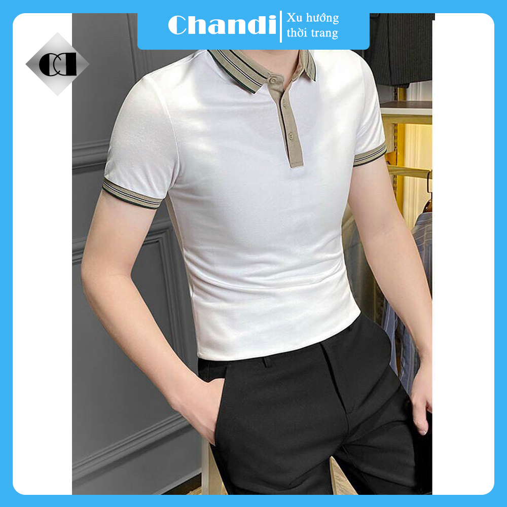 Áo Thun Nam Ngắn Tay Chandi, Chất Thun Cotton Xịn Co Giãn Mẫu Mới NT61