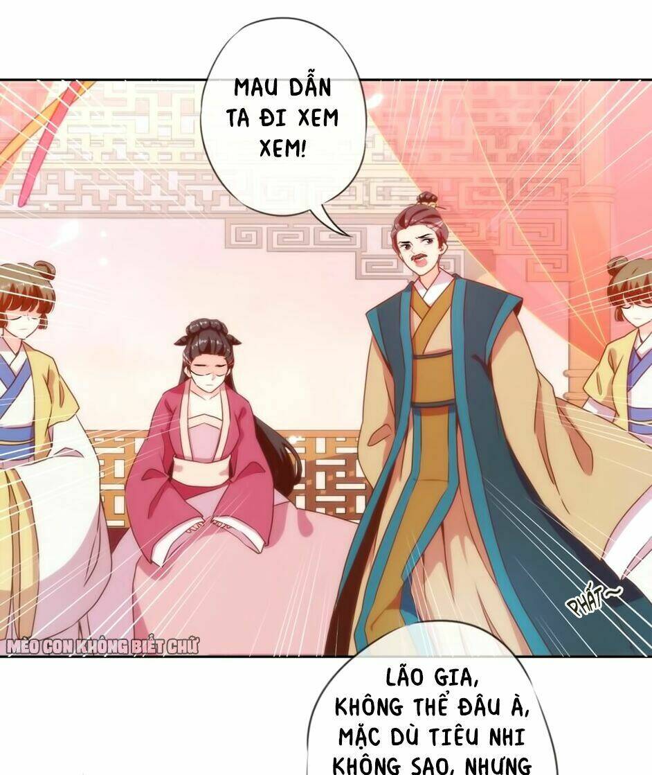ồ, sủng phi đại nhân của ta chapter 2 28