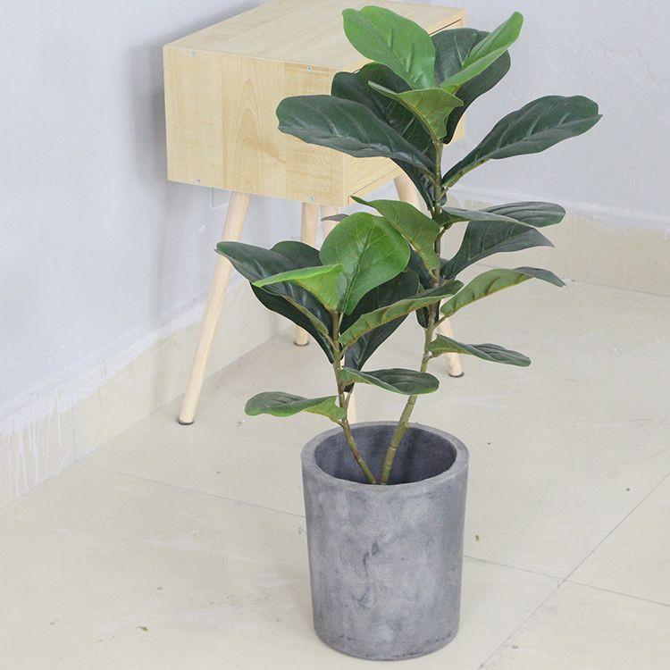 Cây giả - Cây bàng Singapore trang trí cao 75cm - LC2923