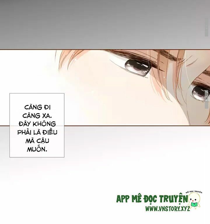 Tình yêu là màu hoa anh thảo chapter 31.2 15