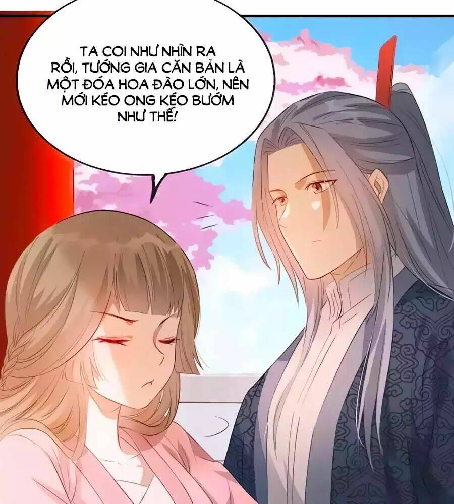 gian phi như thử đa kiều chapter 41 66