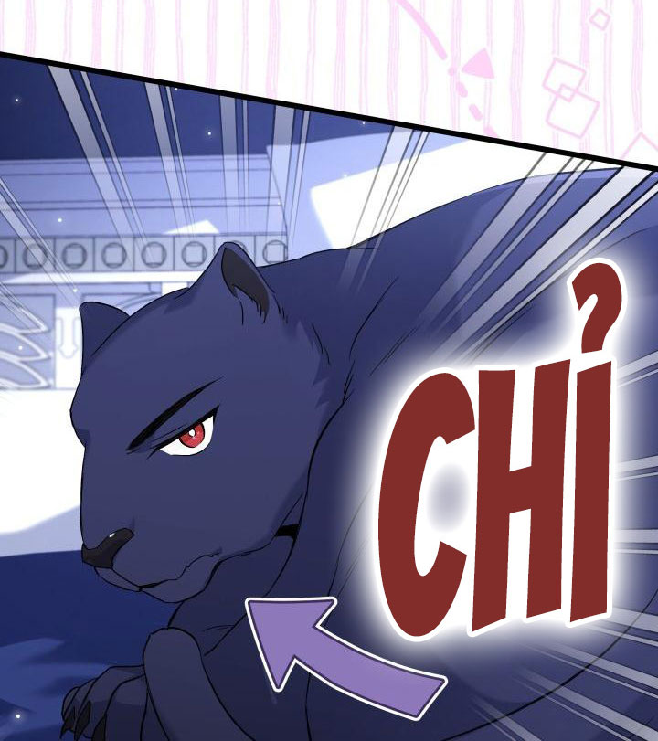 mối liên kết giữa báo đen và bé thỏ chapter 92 37