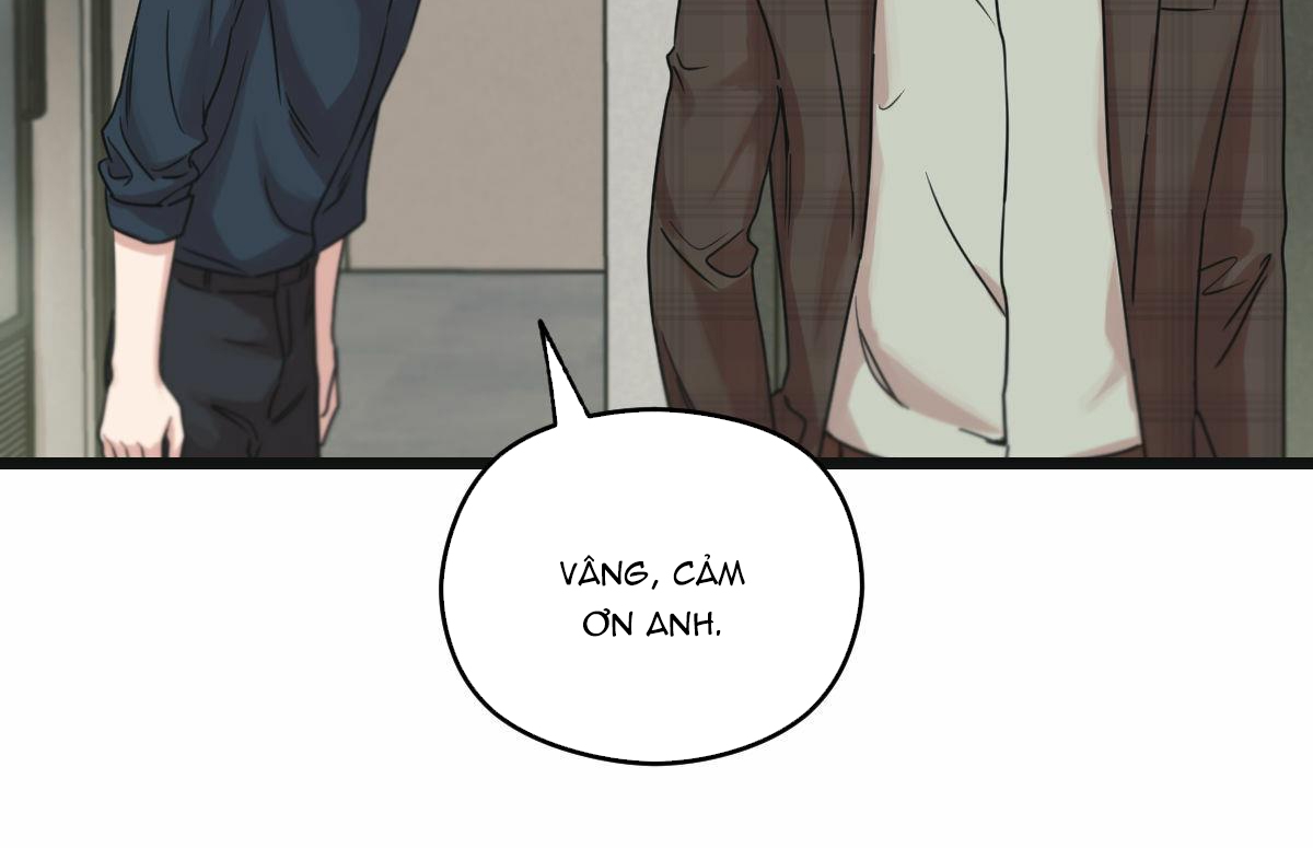 tương phùng chapter 11 22