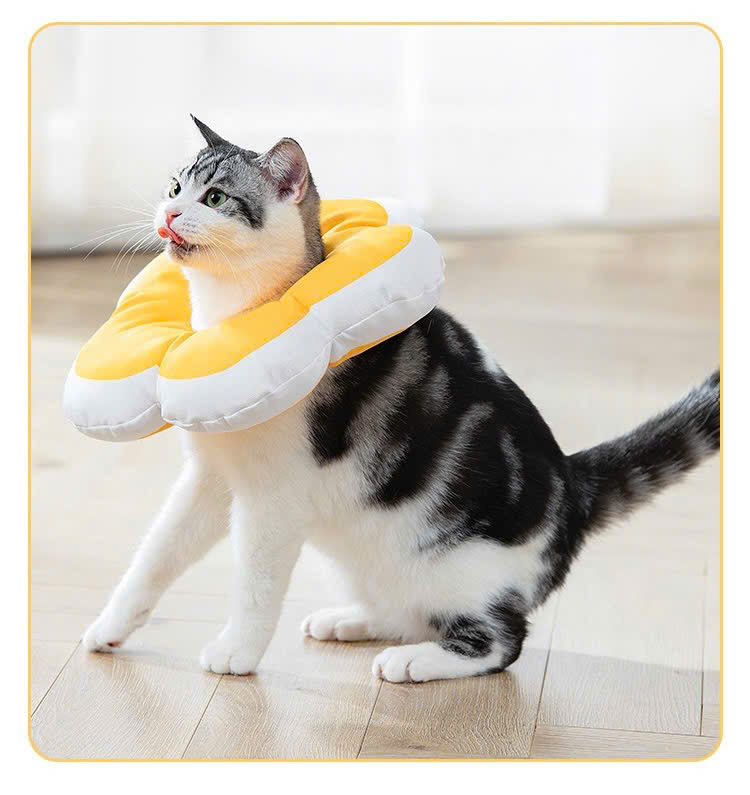 VÒNG CỔ THÚ CƯNG VÒNG CỔ LOA CHỐNG LIẾM CHO THỎ CHÓ MÈO BÔNG HOA DỄ THƯƠNG TỪ 0.5-5.5KG MÃ 10 CHO CHÓ MÈO THỎ