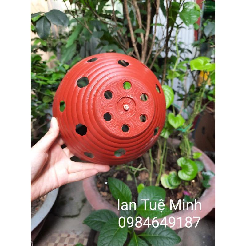 Combo 10 Chậu nhựa lan bèo giả đất đủ size hàng đẹp