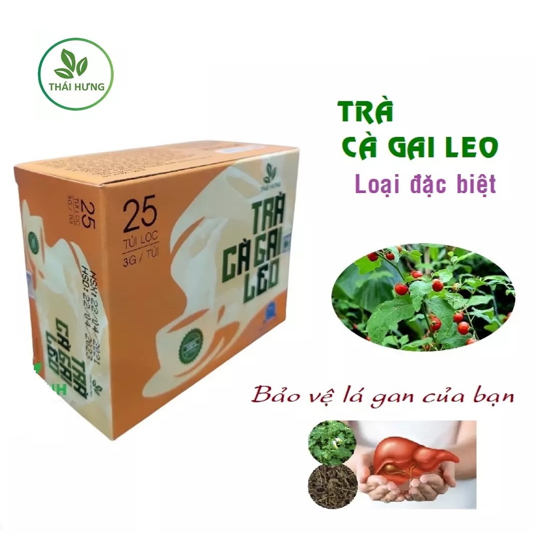 Trà Cà Gai Leo THÁI HƯNG Loại Đặc biệt - Hộp 25 túi lọc x 3g - Thải độc gan, hạ men gan, giảm mỡ trong gan