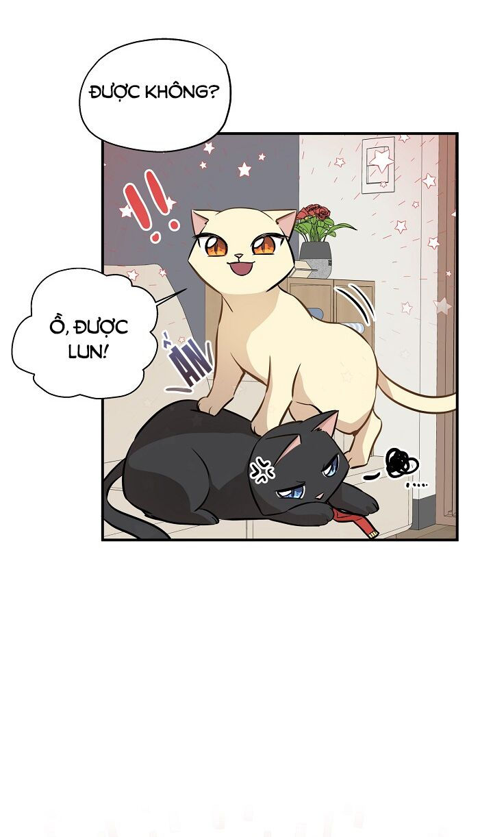 cuộc sống kỳ thú chapter 58 36