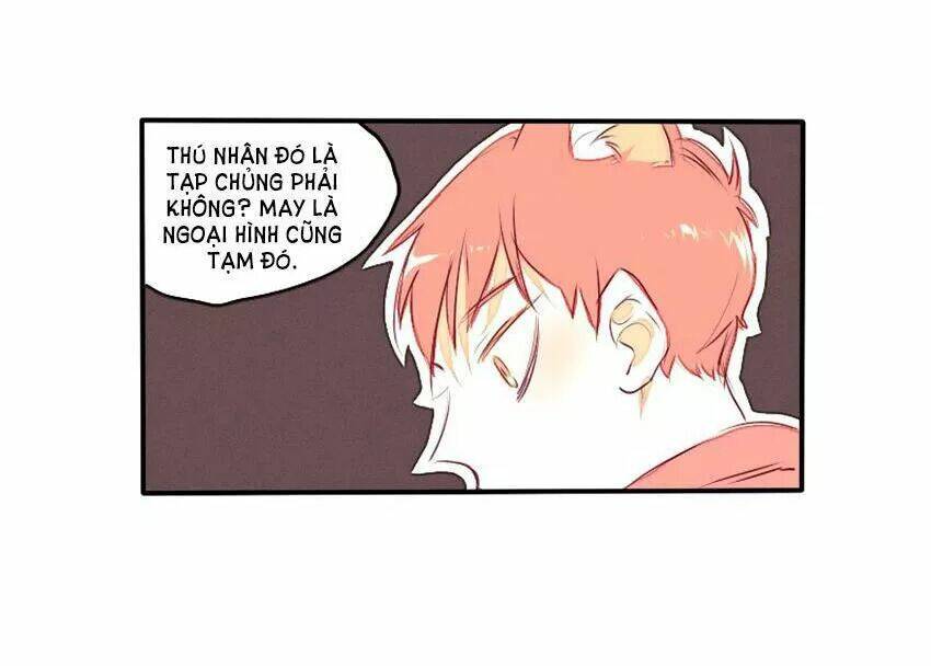 cưới, tôi ư? chapter 29 18