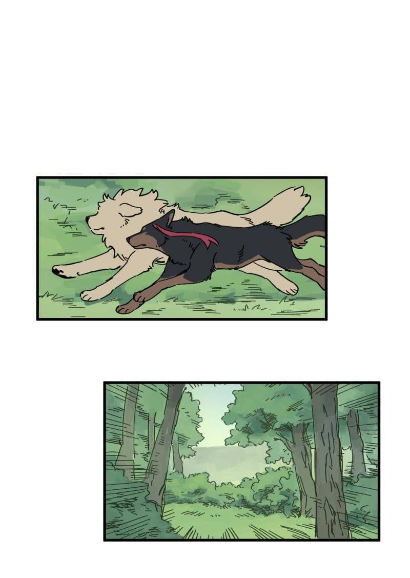 lumine - cội nguồn ánh sáng chapter 142 21