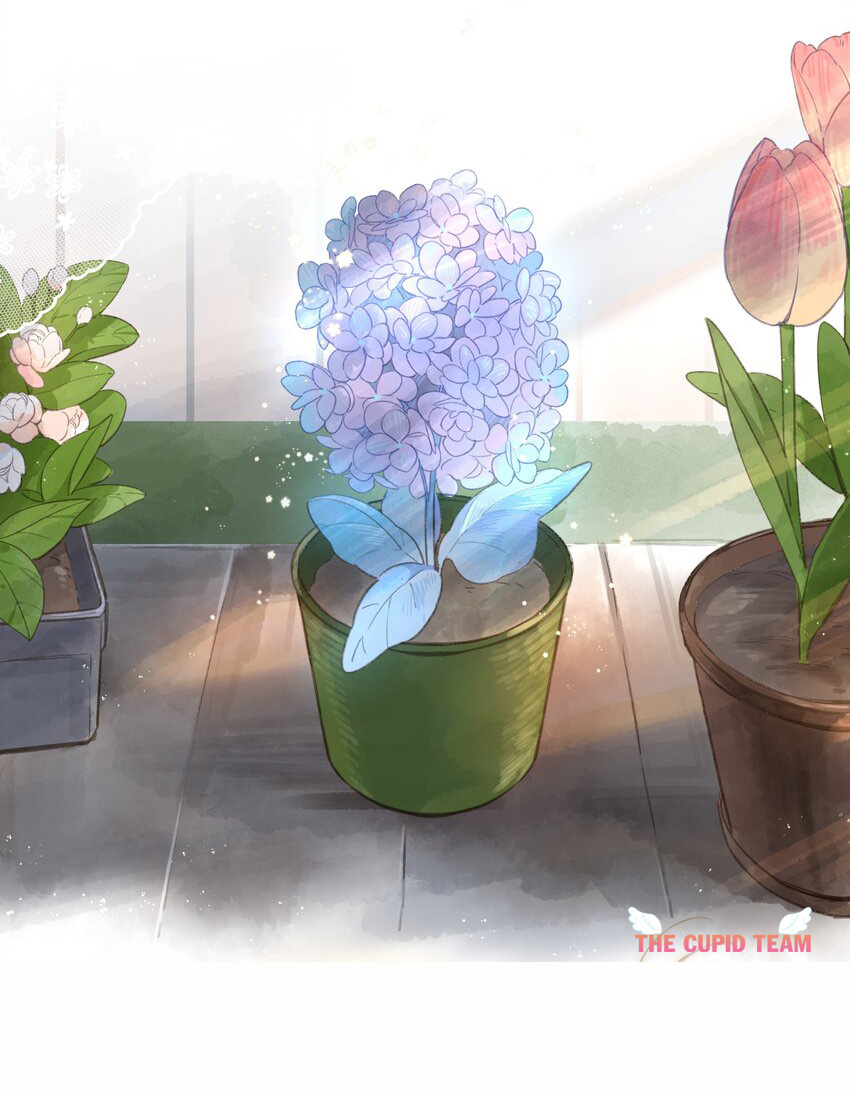 tiệm hoa hướng dương ở góc phố chapter 2 25