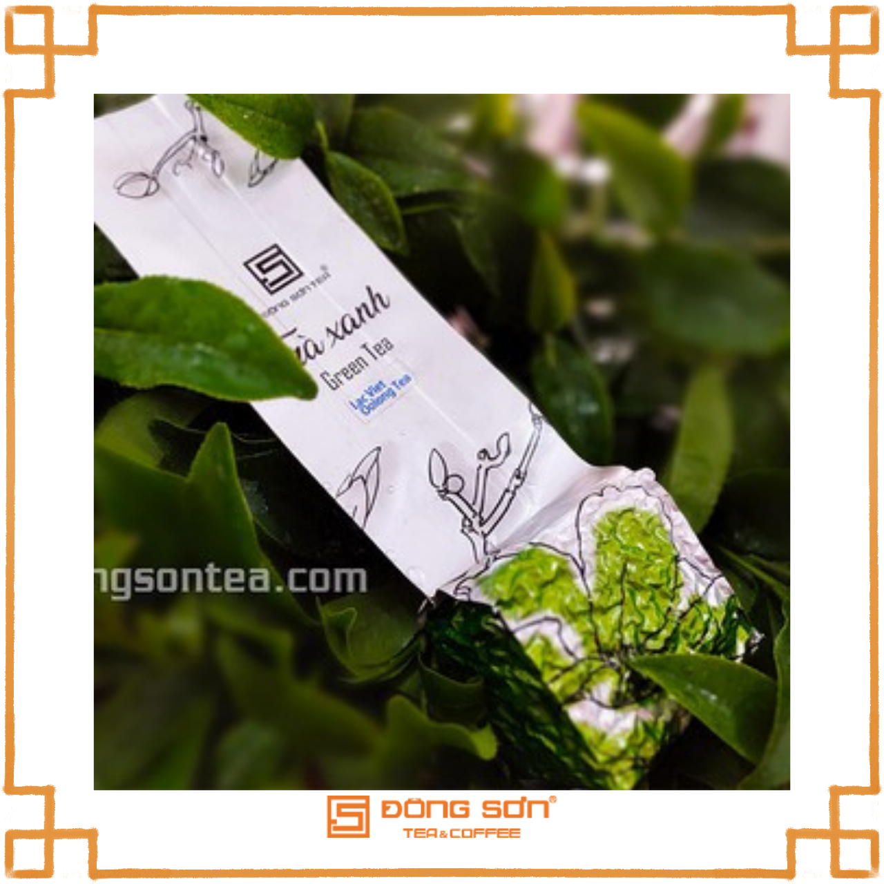 Trà Olong Lạc Việt