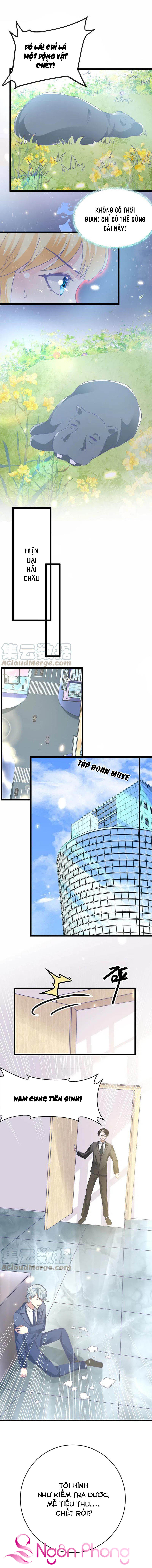 sủng hậu của vương chapter 116 8