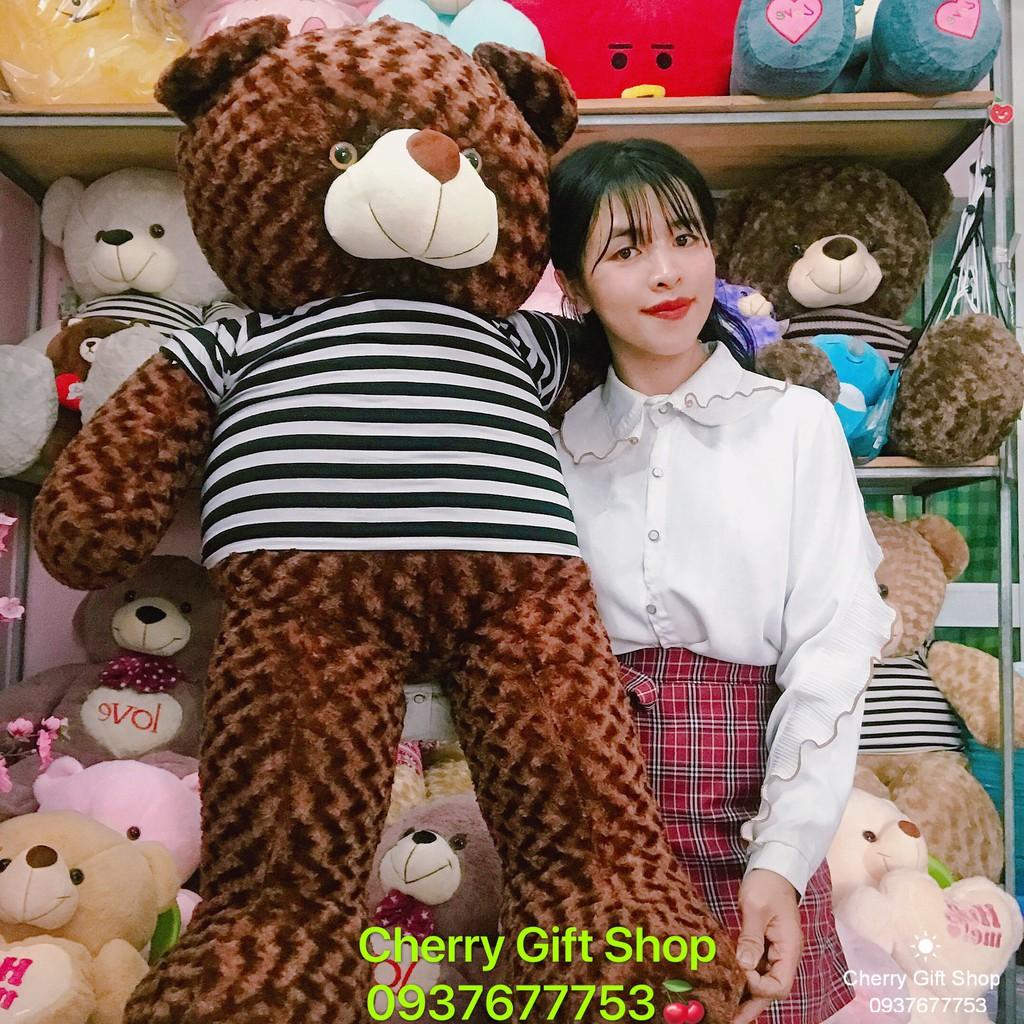 Gấu Bông Teddy Cao Cấp Giá Sốc 1m5 Ảnh Shop Chụp