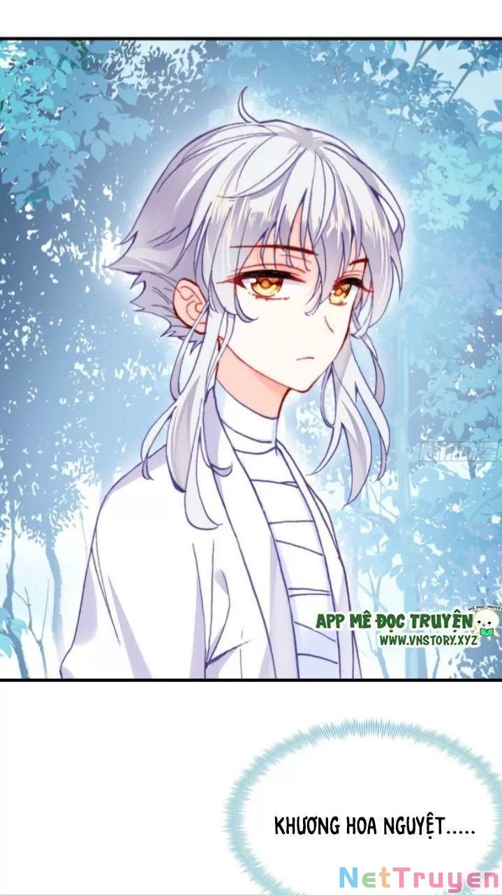 lại bị bệnh chiều chuộng quấn lấy chapter 17 48