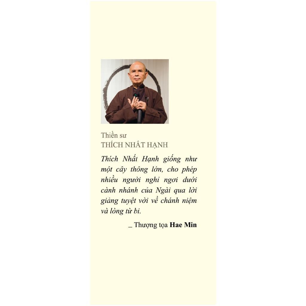Sách Bỏ Túi - How To See - Nhìn Sao Để Thấy Rõ - Phanbook