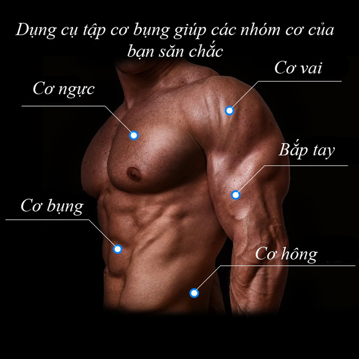 Con Lăn Tập Cợ Bụng 4 Bánh Thương Hiệu PaKaSa Được Tặng Kèm Thảm Lót - Hàng Chính Hãng