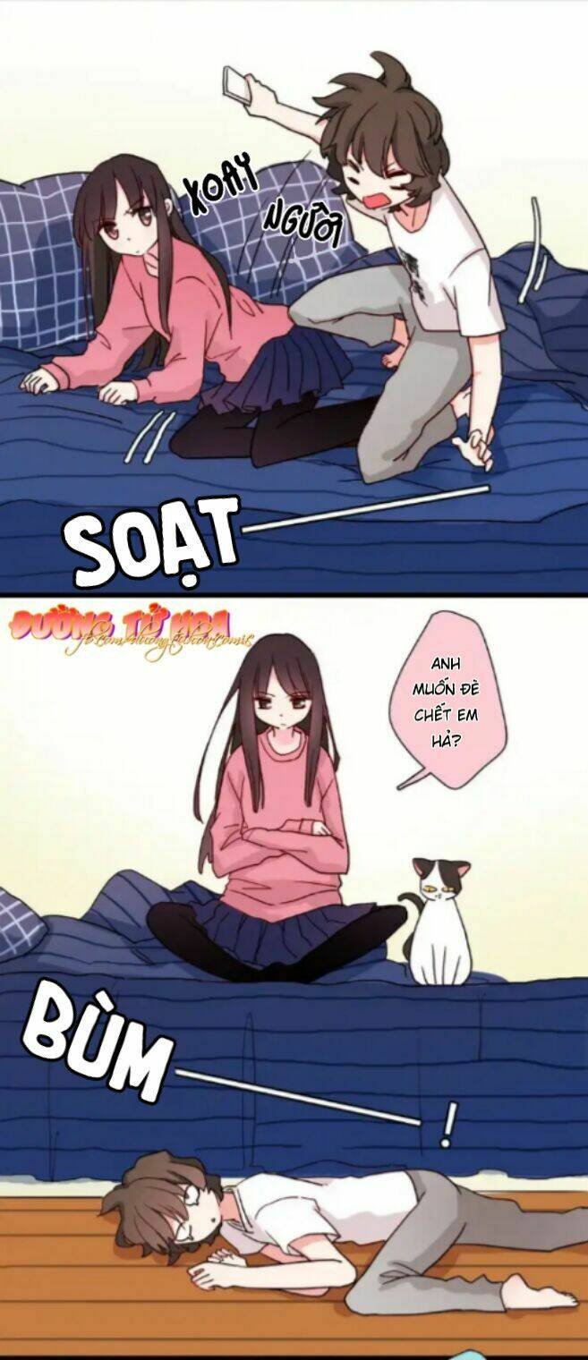 gấu nhỏ dư và thỏ thỏ hứa chapter 14 32