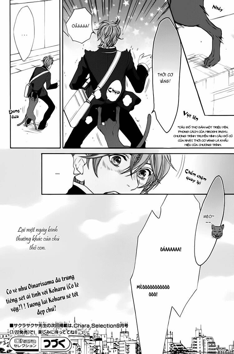 oinarisama no honey bunny chapter 2 33