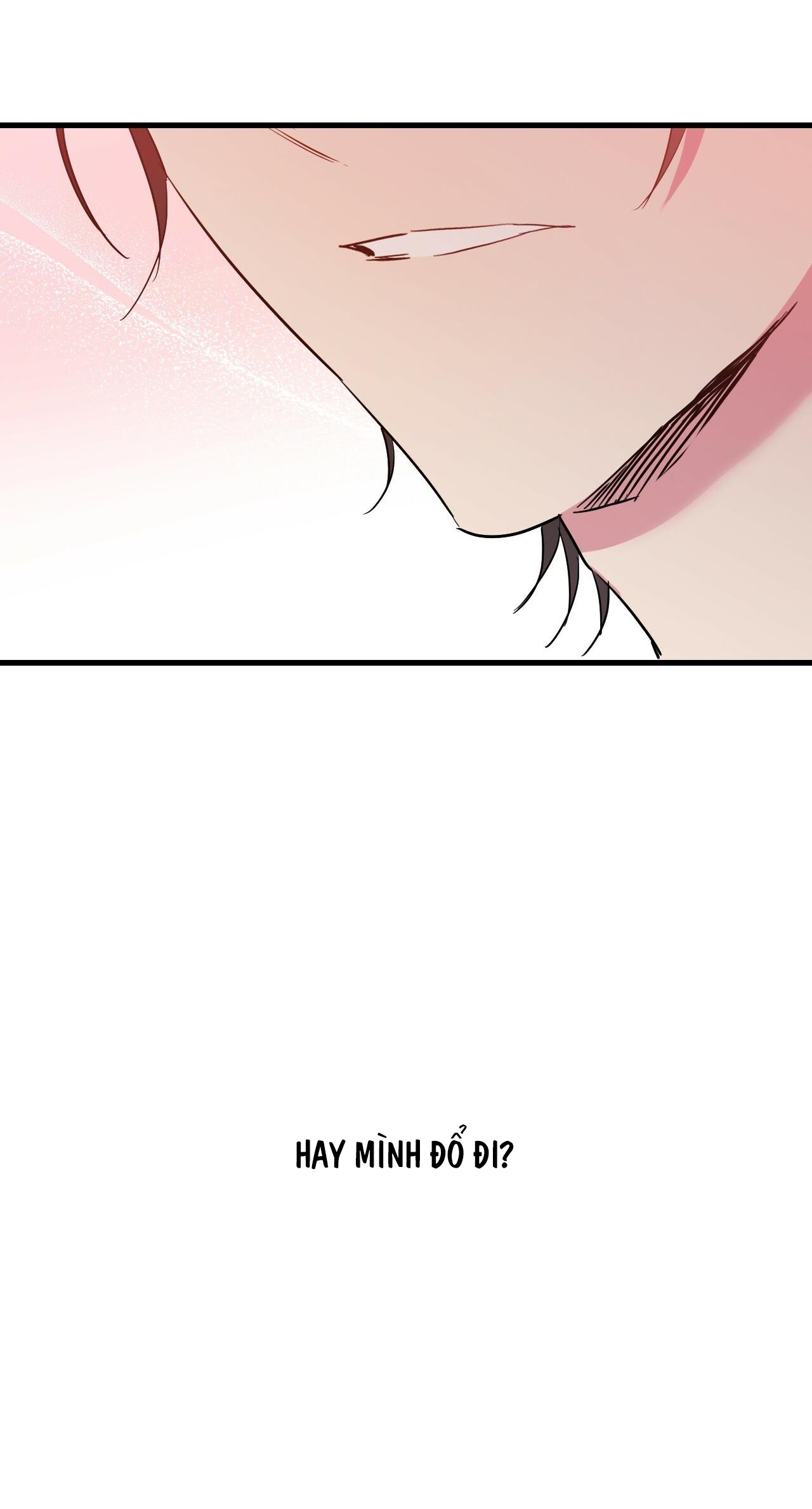 những chú thỏ của hapypy chapter 12 63