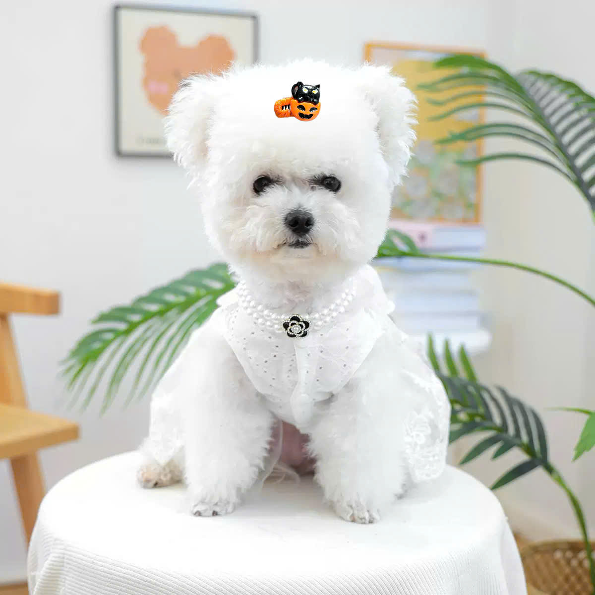 NƠ KẸP TÓC BUỘC TÓC CÀI TÓC THỜI TRANG DỄ THƯƠNG HALLOWEEN MÃ 35 CHO THÚ CƯNG CHÓ MÈO