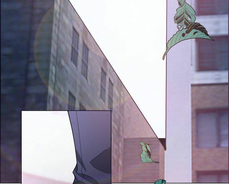 thuần tình lục thiếu chapter 211.1 4