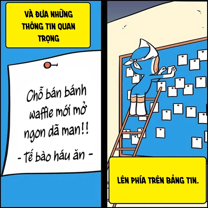 yumis cells chapter 61 11