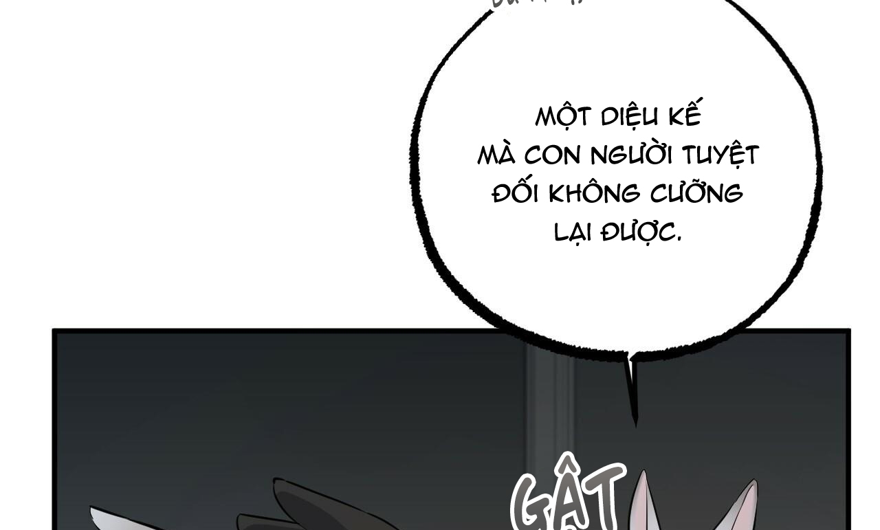 đàn thỏ của habibi chapter 47 6
