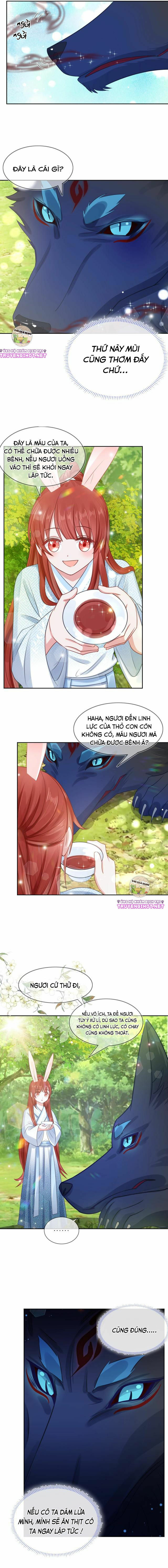 nuôi thỏ? nam chính hắc hóa rồi! chapter 17 2