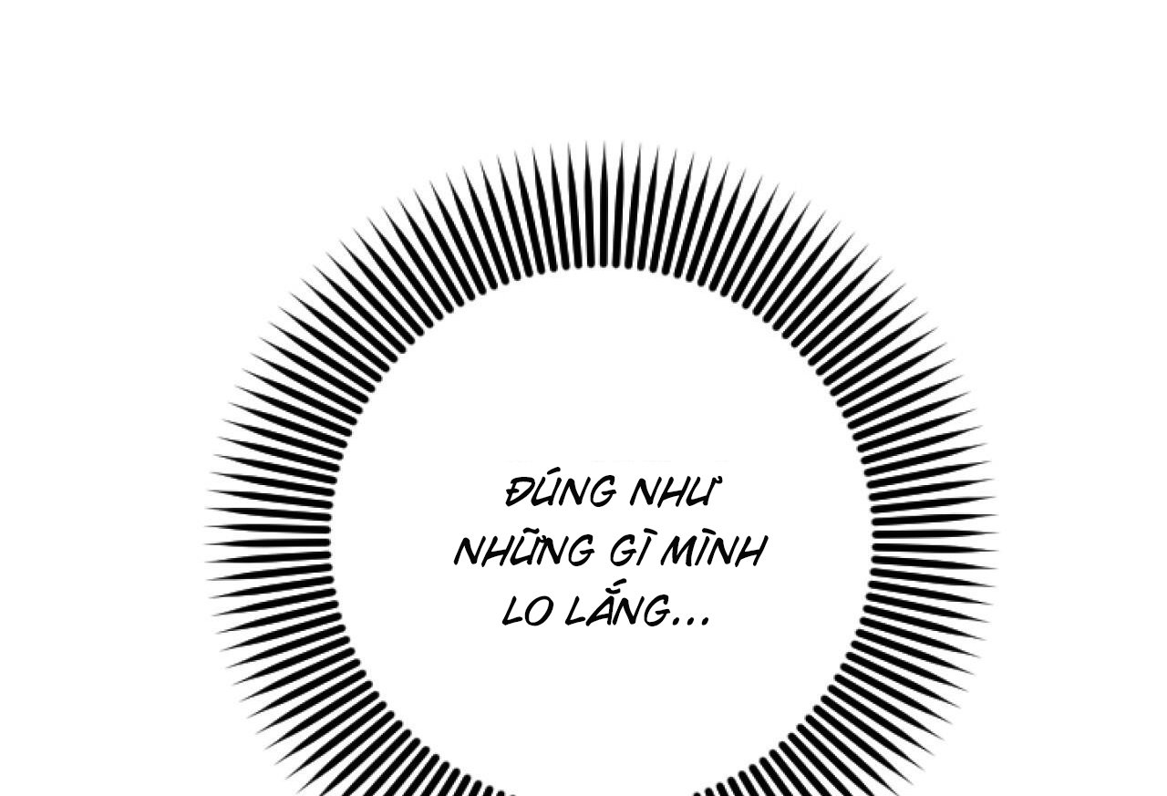 những chú thỏ của hapypy chapter 61 13