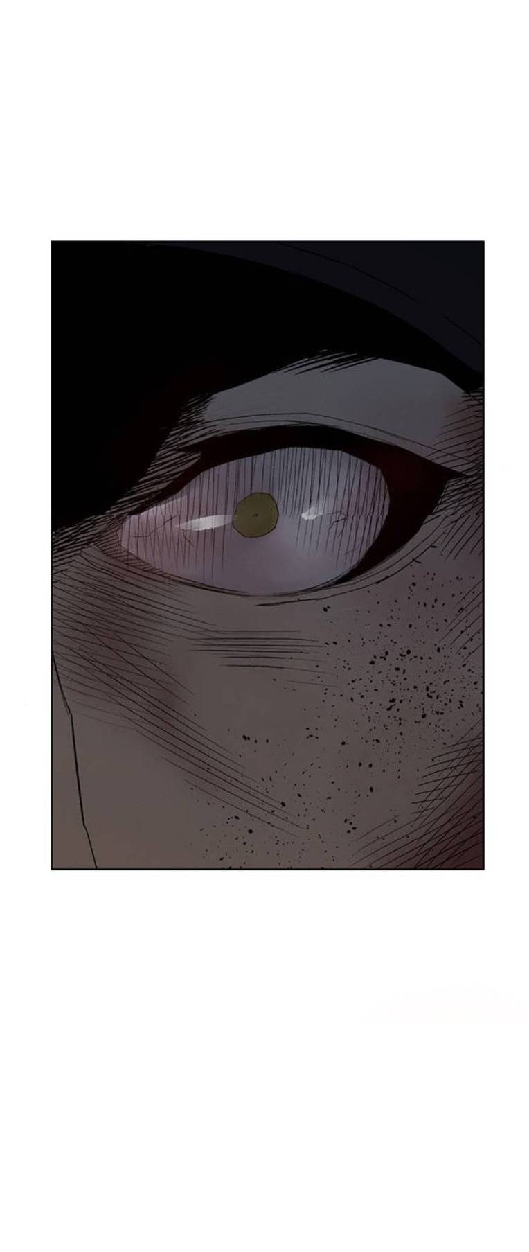 anh hùng yếu chapter 256 3