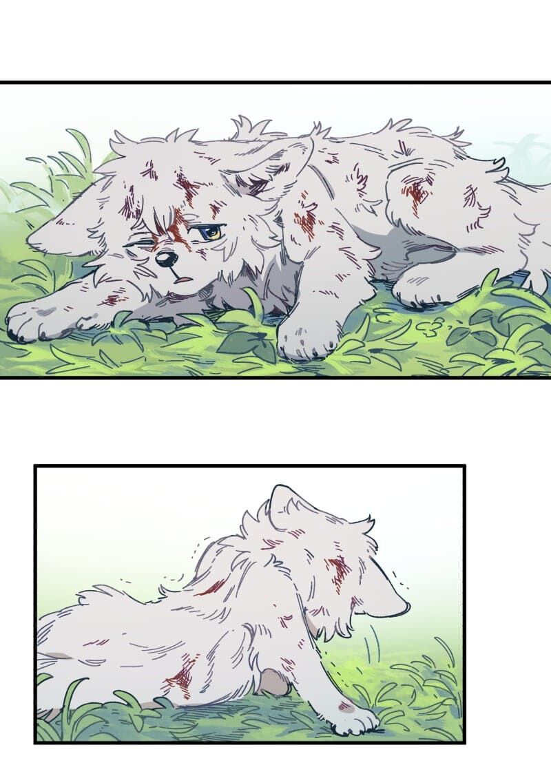 lumine - cội nguồn ánh sáng chapter 134 23