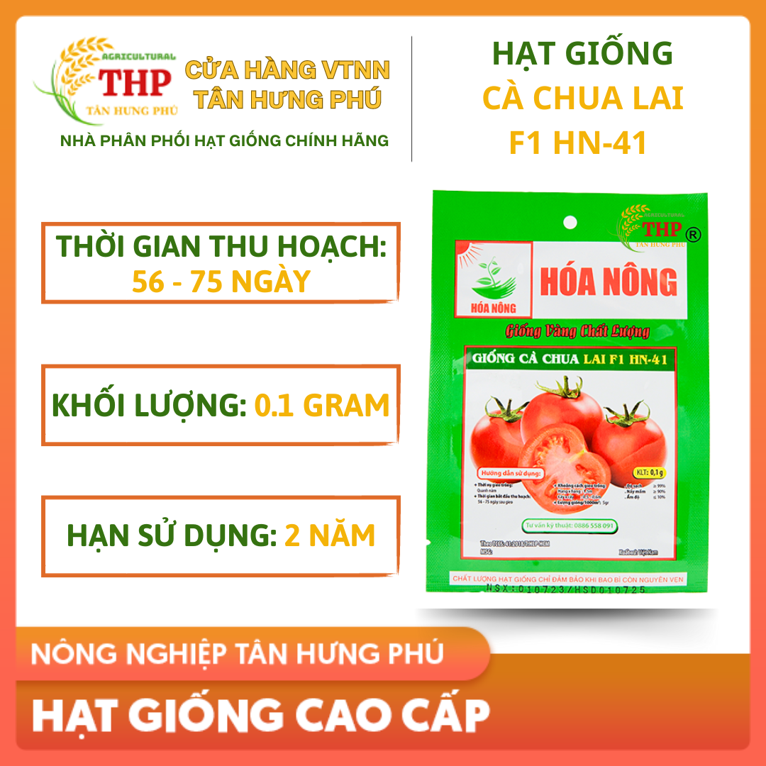 Hạt giống Cà Chua Lai F1 HN-41 | Hạt Giống | Gói 0.1gr