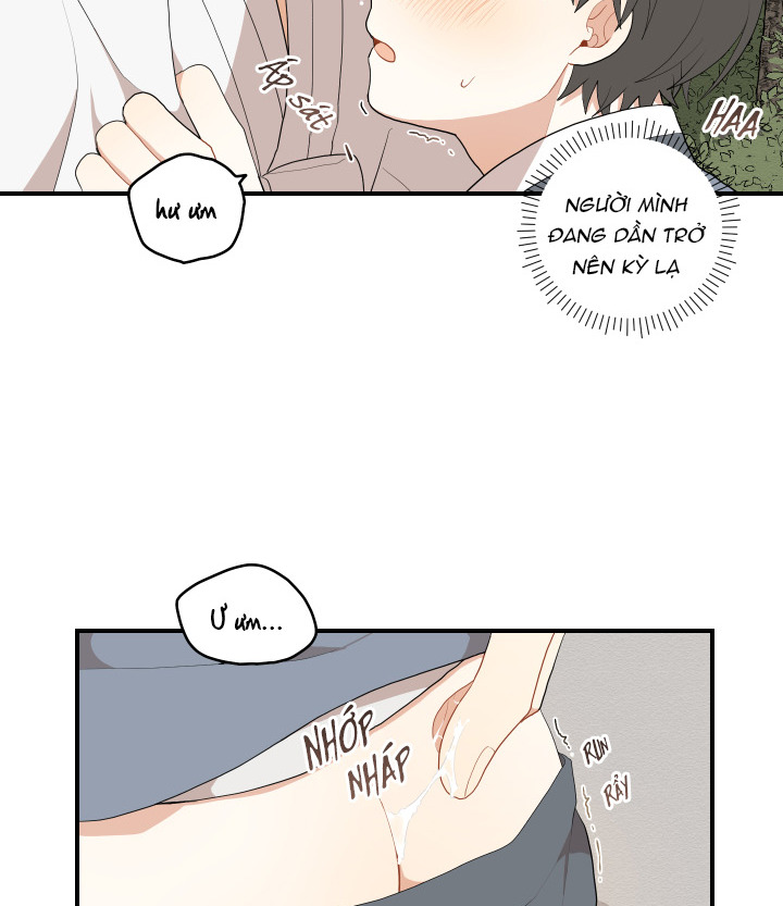 đường hoa liên kiều rơi chapter 19 26