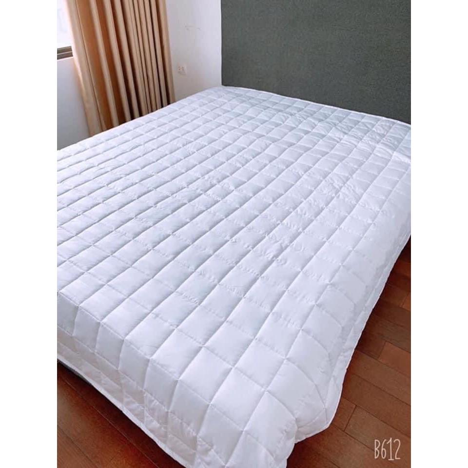 Ruột chăn bông trắng siêu ấm cao cấp