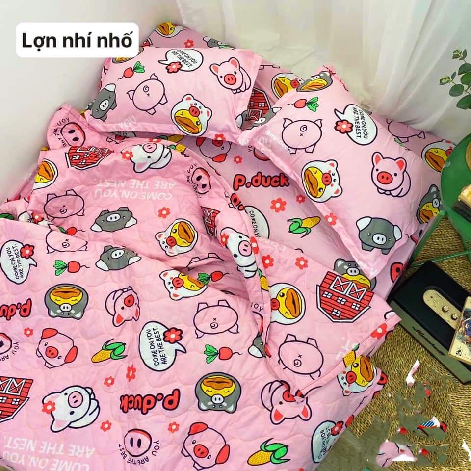 Bộ Chăn Ga Gối Cotton Hè Thu Giá Rẻ