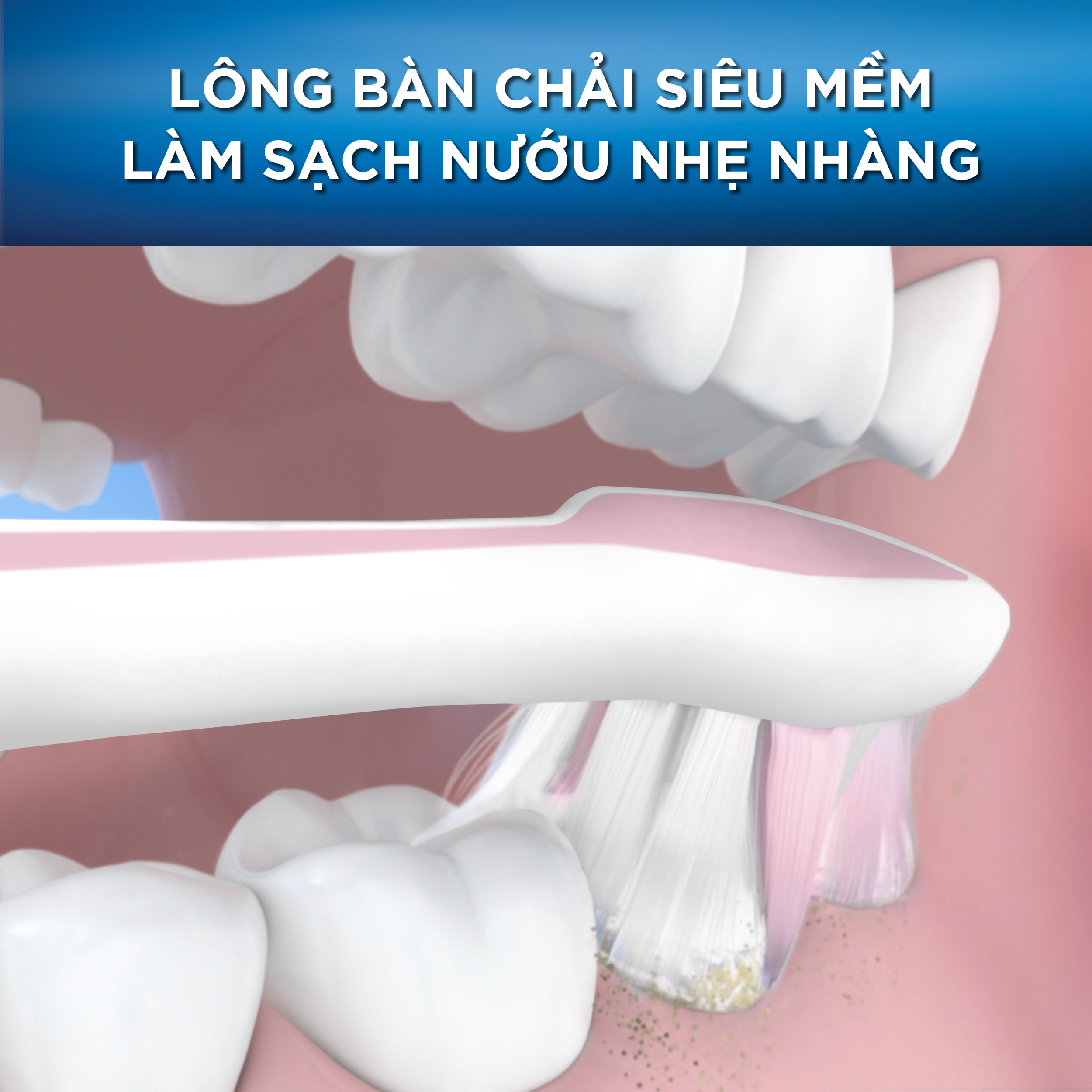 Bàn Chải ORAL-B Tinh Chất Trà Xanh Vỉ 5 Cây (Mua 3 tặng 2)