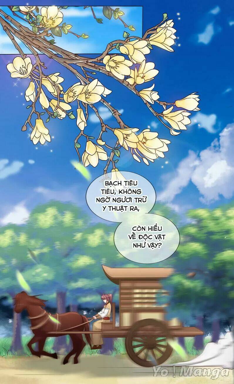 độc y cuồng phi chapter 23.3 7