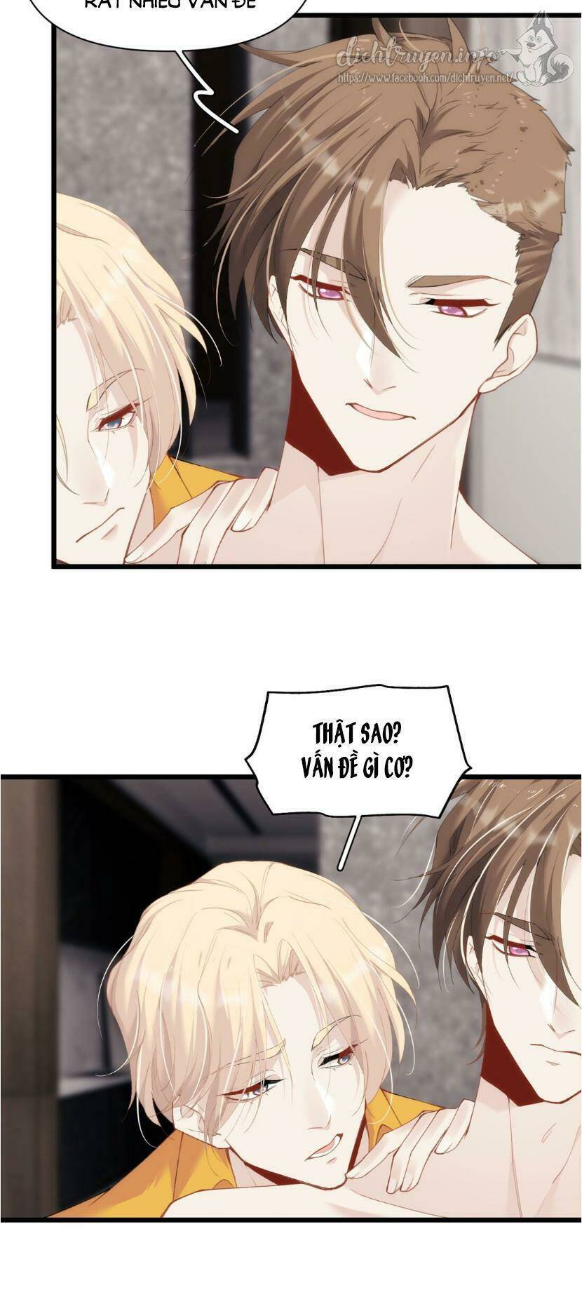 dù là sói cô độc cũng có tình yêu của sẻ nhỏ chapter 20 27