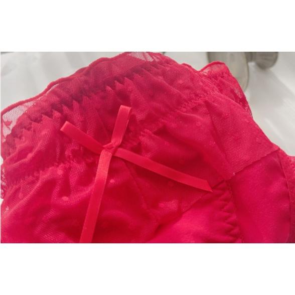 Quần Lót Nữ Cotton Phối Ren Bèo Thời Trang Xuất Đông Âu . Hàng Loại Đẹp.
