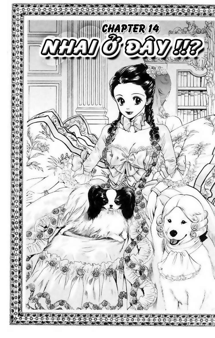 cô nàng yêu chó chapter 14 1