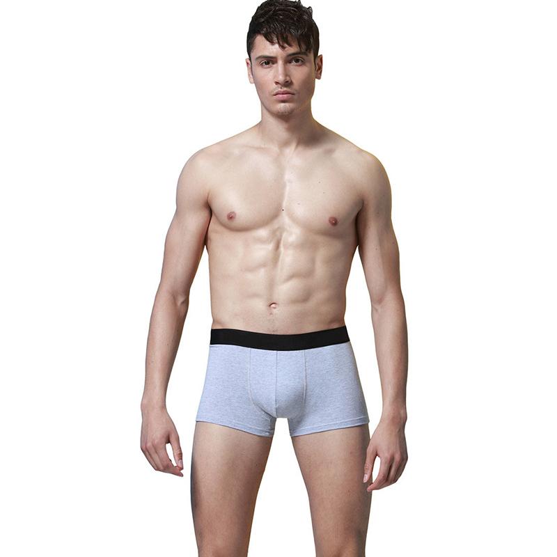 4 Quần Lót Nam Boxer Cotton Của Người Đàn Ông Quần Lót Nam Đồng Tính Nam Sexy Quần Lót Boxershorts Quần Short Nam quần Lót Boxer Quần Lót Nam