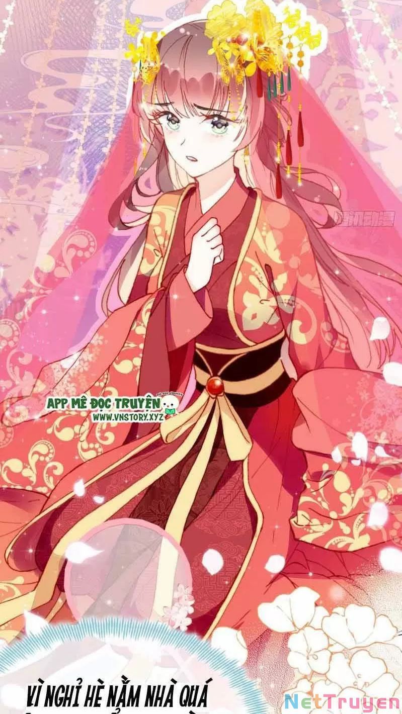 lại bị bệnh chiều chuộng quấn lấy chapter 1 10