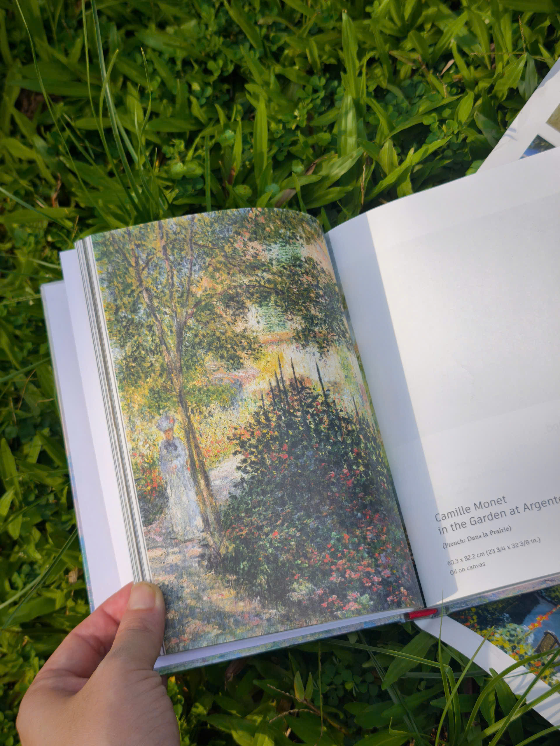 BỘ SƯU TẬP 100 TRANH MONET CỦA RIÊNG BẠN – SỔ TRANH ART MUSEUM - Claude Monet: Painting with light (Nho Xanh)